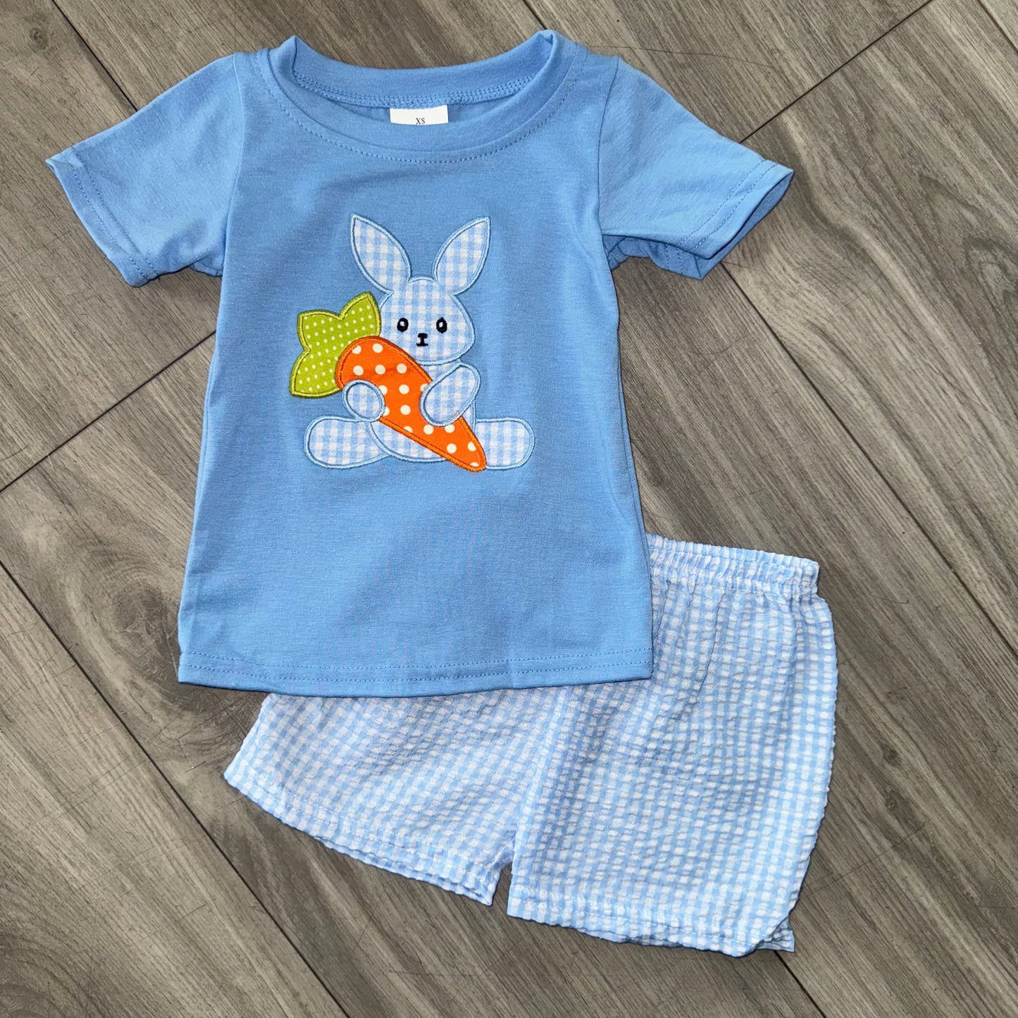 Bunny & Carrot Boys Short Set